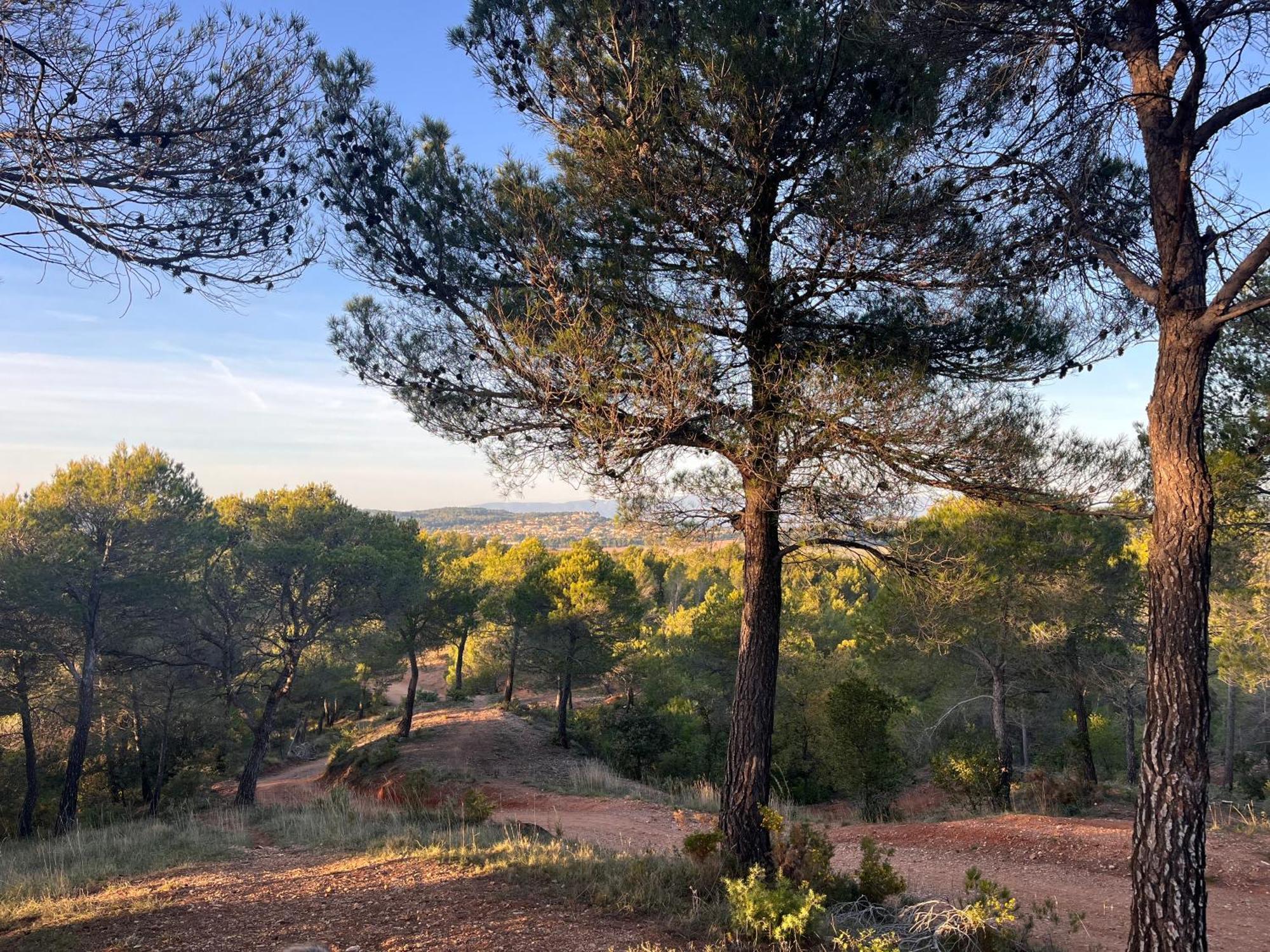 Maison Provencale Au Calme De La Campagne Avec Jacuzzi Aix-en-Provence Luaran gambar